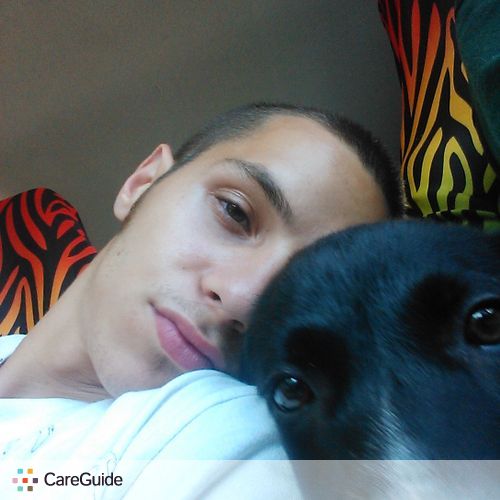 Pet Care Provider Dalton P's Profile Picture