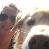 Seeking pet sitting jobs near Waterford Mi.