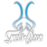 Excellecent Cleaning Service that makes your house into a home