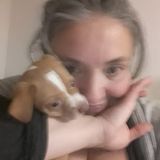 Great House Sitter respectful with great attention for all your Needs. A green thumb and, yes I'm anmial lover too!