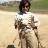 Zookeeper by profession. I am experienced, loving, mature and responsible pet sitter available today.