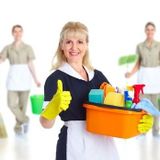 Seeking Kirkland Cleaner Opportunity