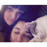 Seeking a Caring Pet Care Provider in Renton, Washington.