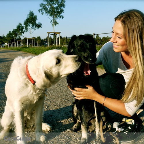 Pet Care Provider Viktoria P's Profile Picture