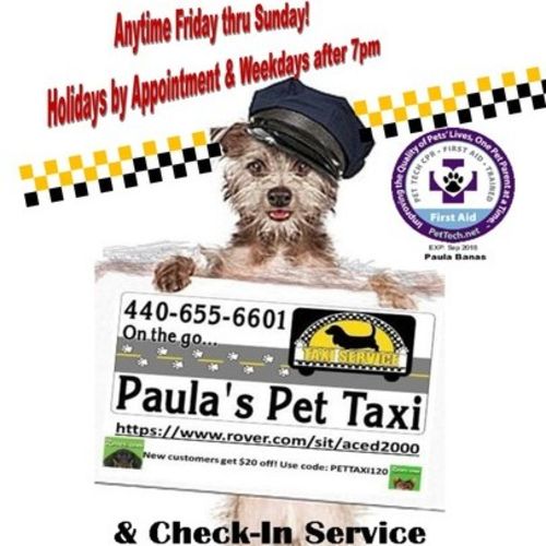 Pet Care Provider Paula B's Profile Picture