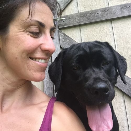Pet Care Provider Daytripping Dogs, L's Profile Picture