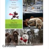 Tire your pup out with a Dog Hike!