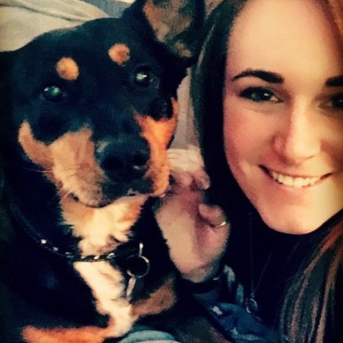 perfect petzzz rabbit