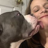 West Chicago, Illinois Pet Sitter