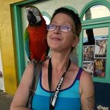 Hire an experienced house sitter for peace of mind