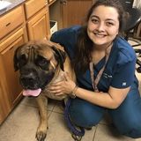 Vet tech willing to help you out.