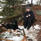 Sudbury Dog Trainer Available For Work in Ontario