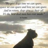 Gone to the Dogs