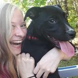 Pet Care Services In Renfrew County.
