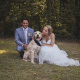 Searching for a Pet Sitter Job in Huntsville, Alabama