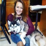 Woodbridge Pet Sitter Searching for Job Opportunities
