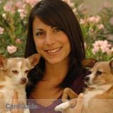 Professional Pet Sitter Over 12 Years in Business!