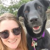 Active Pet care provider who loves all animals