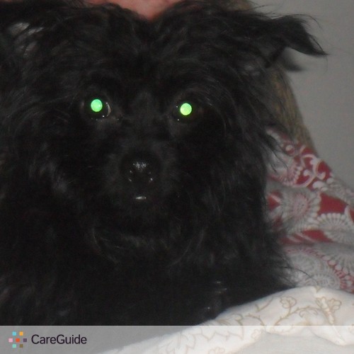 Pet Care Job Noah R's Profile Picture