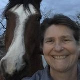 Interested In House sitting and Pet sitting in the San Antonio and Austin areas.