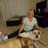 I'm safe and retired vet technician.