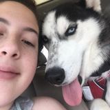 Naples Dog Walker Searching for Work in Florida