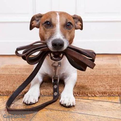 Pet Care Provider Caydi V's Profile Picture