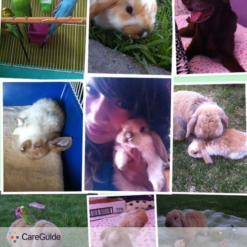 Pet Care Provider Francheska Ruiz's Profile Picture