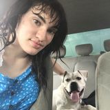 Pet Supervisor,