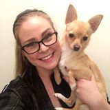 Veterinary professional ready to take care of your furry children!