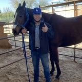 Flexible Pet Sitter in Phoenix who is willing to feed and take care of animals,