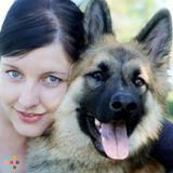 Reliable Eco-House/Petsitter Available for Summer Work