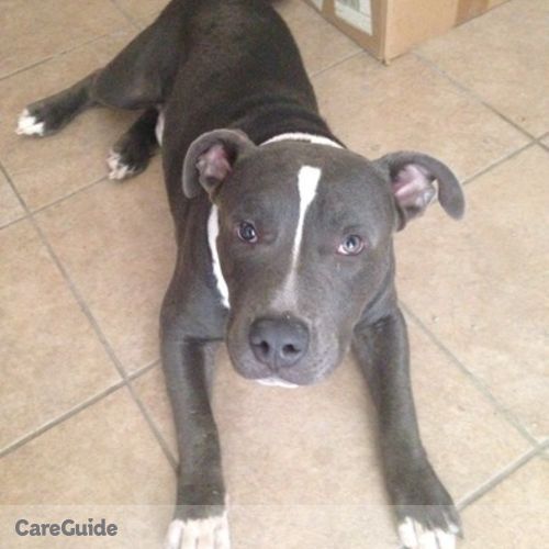 Pet Care Provider Lex F's Profile Picture