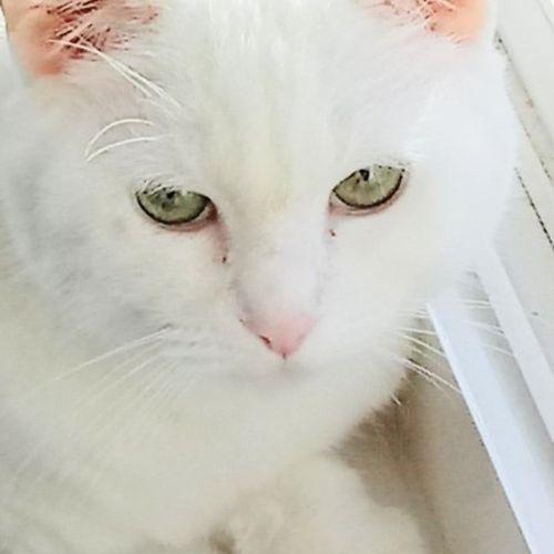 Pet Care Job Margo S's Profile Picture