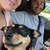 I love animals. I'd be happy to help and learn more of your situation, thanks for viewing