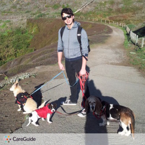 Pet Care Provider Kevin B's Profile Picture