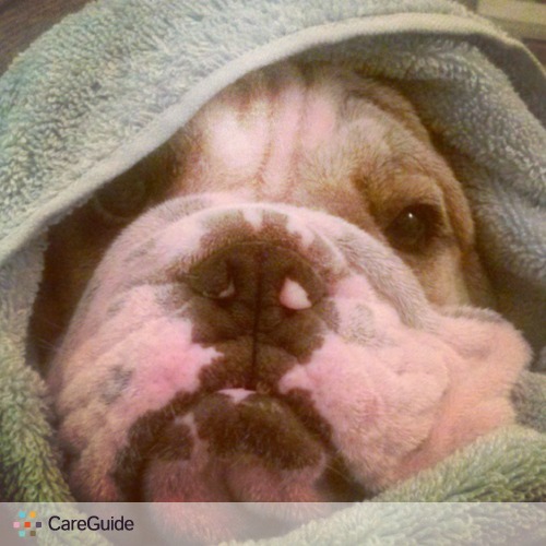 Pet Care Provider Jennifer Silva's Profile Picture