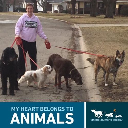 Pet Care Provider Shawna Nicholas's Profile Picture