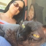 Request for Pet Care 2X Day - Hairless Care