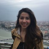 Talented House Sitter in North Hollywood