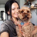 Available: Flexible Housesitter in Sherman Oaks, California