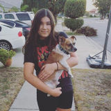 Well Mannered, Positive, and Communicative Animal Sitter and Dog Walker
