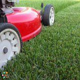 Lawn Mowing For A Fair Price !