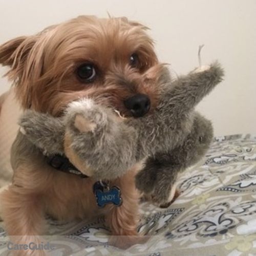 Pet Care Provider Alexandra Lattuf's Profile Picture