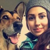 Knowledgeable and frieandly dog sitter available!