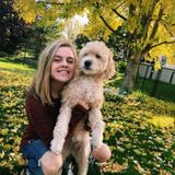 Mother's Helper/nanny/ babysitter in East Saint Paul