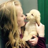Disciplined Petsitter in Carlisle and surrounding area.