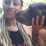 Pet Sitting in the Comfort of Your home!