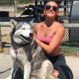 Flexible Dog Sitting Professional in Jupiter, Florida
