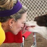 Flexible and loving Dog and Cat training or boarding in Boynton Beach, Florida